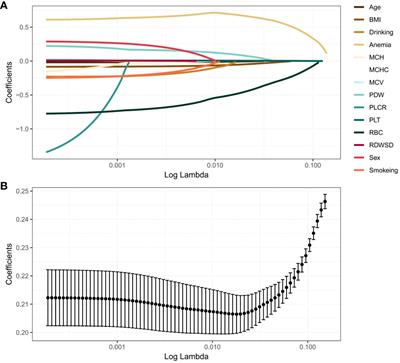 Predicting colorectal cancer risk: a novel approach using anemia and blood test markers